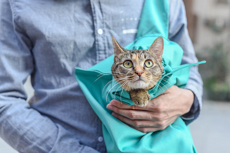 Cat travel backpack travel bag fashion portable one-shoulder pet crossbody bag