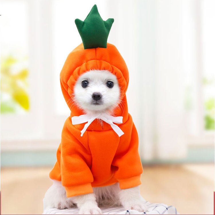 Dongqian puppy dog cat autumn and winter sweater fleece clothes supplies fruit turned dog cat
