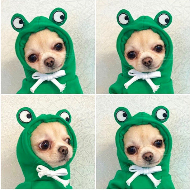 Dongqian puppy dog cat autumn and winter sweater fleece clothes supplies fruit turned dog cat